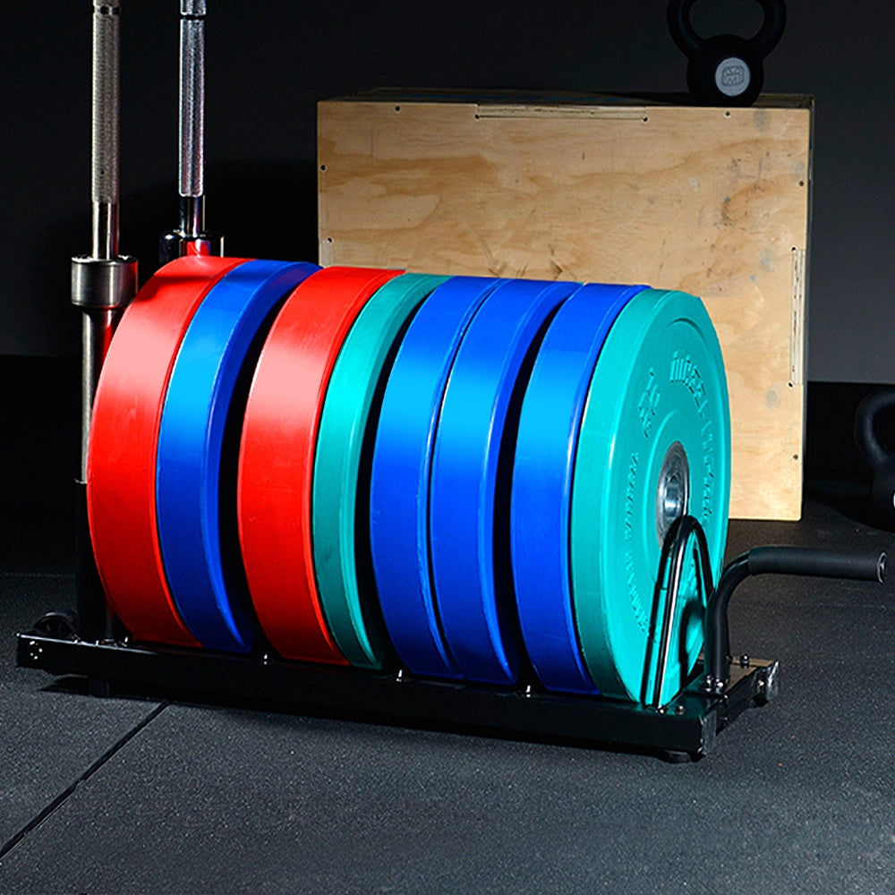 Barbell & Weight Plate Storage Rack with Wheels & Handle – 300 lb Capacity, 2 Barbell Holders, 4 Plate Slots, Powder Coated Steel for Home Gym & Garage Organization