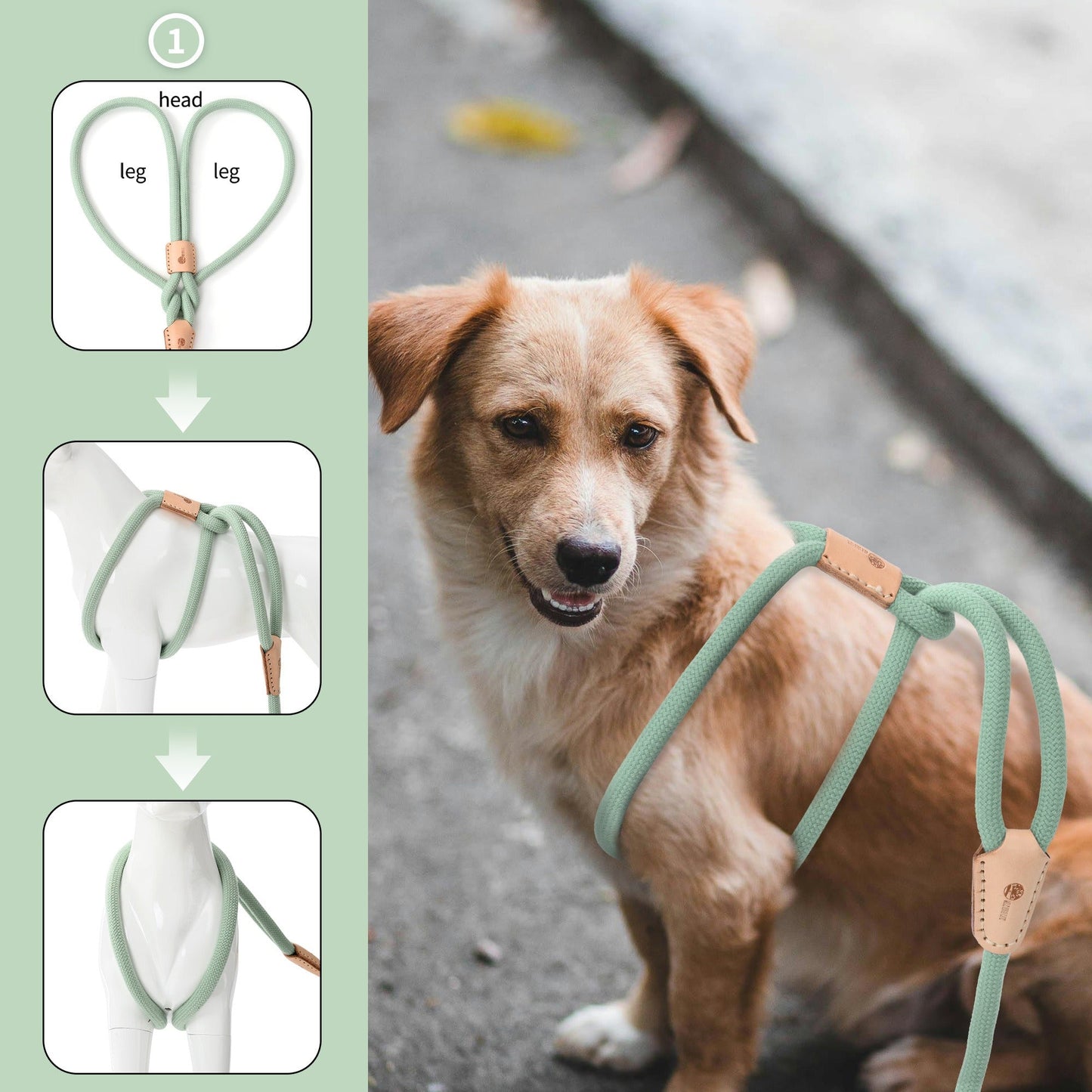 Dog Slip Leash and Harness 2-in-1 Rope Lead - No Pull All-in-One Training Leash for Puppies & Small Dogs, Adjustable Slip Lead with Soft Rope, Secure Control for Walking & Training