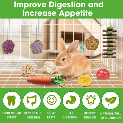 Small Animal Dental Treats 21pcs – Natural Timothy Hay Variety Set with Hay Sticks, Timothy Cakes & Carrot Strawberry Treats for Rabbits, Guinea Pigs & Hamsters – Teeth Care Forage Snacks