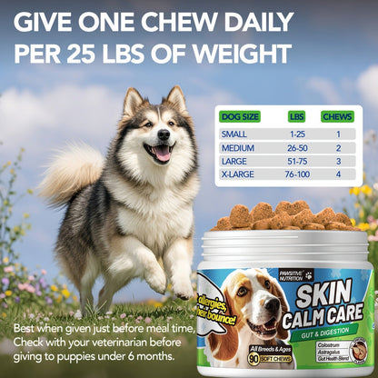 Dog Skin & Immune Probiotic Chews with Bovine Colostrum - 6 Billion CFUs, Dried Fermentate & Astragalus for Skin Calm & Immune Support, Chicken Flavor Soft Chews for All Dogs, 90 Count