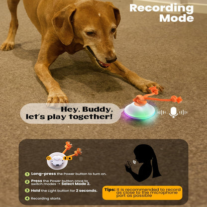 Automatic Rolling Dog Ball Toy with Rope - Motion-Activated Wicked Ball with Voice Recording, Interactive Self-Moving Stimulation Toy for Small Medium Dogs, Relieves Boredom & Anxiety