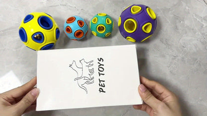 Squeaky Dog Balls 6 Pack Latex Bouncy Fetch Toys Cartoon Pattern Soft Molar Chew Toys for Small Breed Dogs Puppies Interactive Squeaker Ball Set Multi Color
