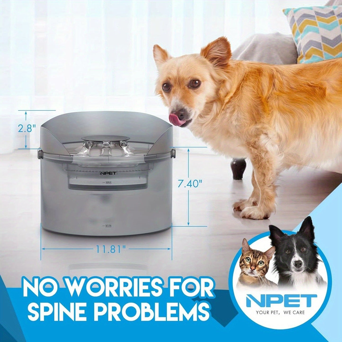 Dog Water Fountain 2 Gallon NPET DF30 - Automatic Pet Water Dispenser Triple Filtration with Splatter Guard & Cleaning Kit for Large Dogs & Multiple Pets 1.3Gal or 2Gal Options