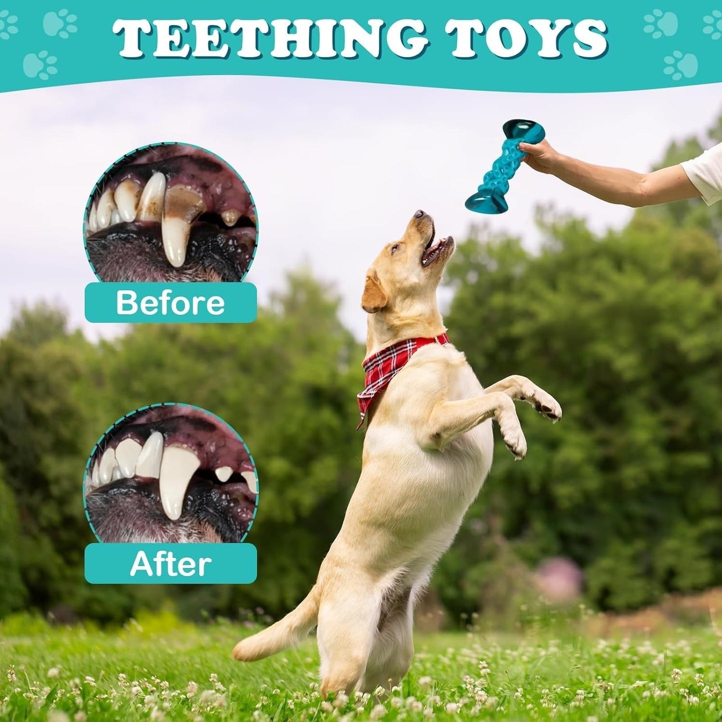 Indestructible Dog Chew Toy Nylon Bone for Aggressive Chewers - Tough Durable Dog Bone for Super Chewers, Long Lasting Chew Toys for Medium Large Breed Dogs, Teeth Cleaning & Boredom Relief