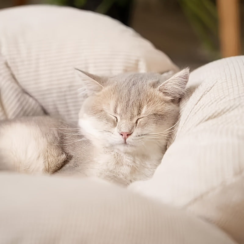 Cat Sofa Heart-Shaped Solid Wood Frame Pet Couch with Soft Cushion for Cats Small Dogs Indoor Chaise Lounge Furniture Beige Blue Pink