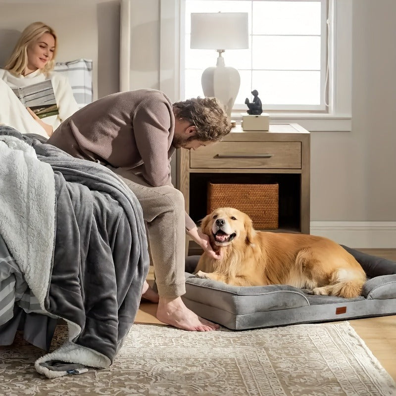 Orthopedic Dog Bed with Removable Washable Cover - High-Density Foam Dog Sofa Couch Bed, 4-Sided Bolster, Nonskid Bottom, Soft Flannel Lining, Available in M & XXL