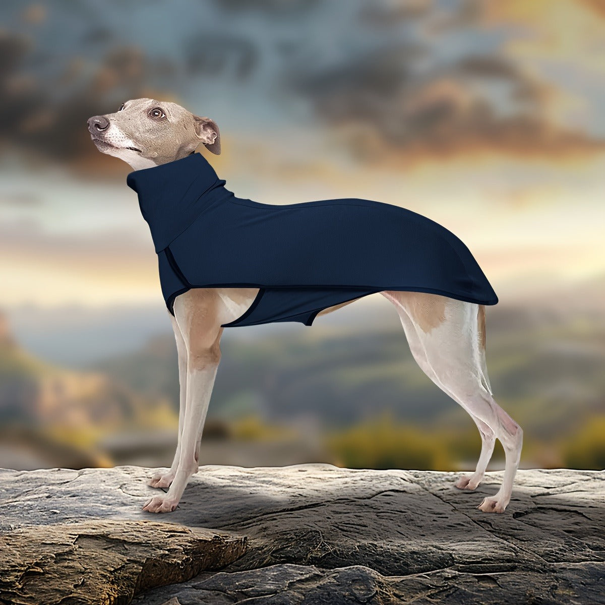 High Neck Dog Coat Warm Pullover – Solid Color Woven Polyester Pet Jacket, Machine Washable, All-Season Fall & Winter Dog Apparel for Small Medium Large Breeds, Colors: Burgundy, Navy, Green, Sizes XL–4XL