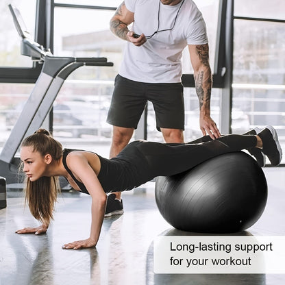 Exercise Ball 25 Inch Yoga Stability Ball 2-Pack Anti-Burst Fitness Balance Ball for Home Office Classroom Workout Core Training