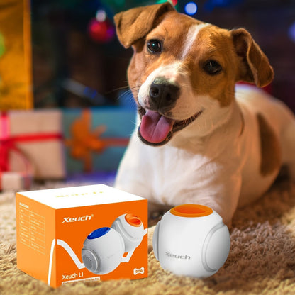 LED Light Up Dog Ball Toy Glow in the Dark - USB Rechargeable Motion-Activated Glowing Fetch Ball for Small Medium Dogs, 2.5 Inch Durable Night Play Interactive Toy, Safe Low Voltage