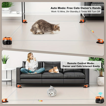 Interactive Cat Toy Auto & Remote Control - Electric Feather Mouse Lure Coursing Machine with DIY Track, Mouse Sounds, Auto Timer, Boredom Buster for Indoor Cats Kittens, 2 Speed Modes