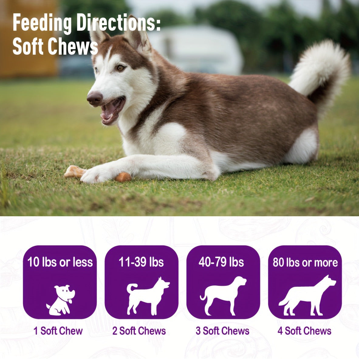 Dog Probiotic & Digestive Enzyme Chews with Prebiotics – Gut Health, Skin Sensitivity Support & Digestive Balance Soft Chew Supplement for Dogs, 30 Chews (75g) or 120 Chews (300g)