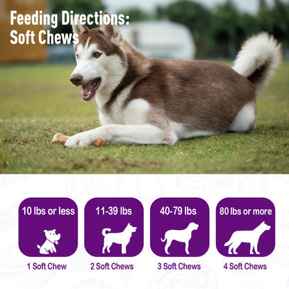 Dog Probiotic & Digestive Enzyme Chews with Prebiotics – Gut Health, Skin Sensitivity Support & Digestive Balance Soft Chew Supplement for Dogs, 30 Chews (75g) or 120 Chews (300g)