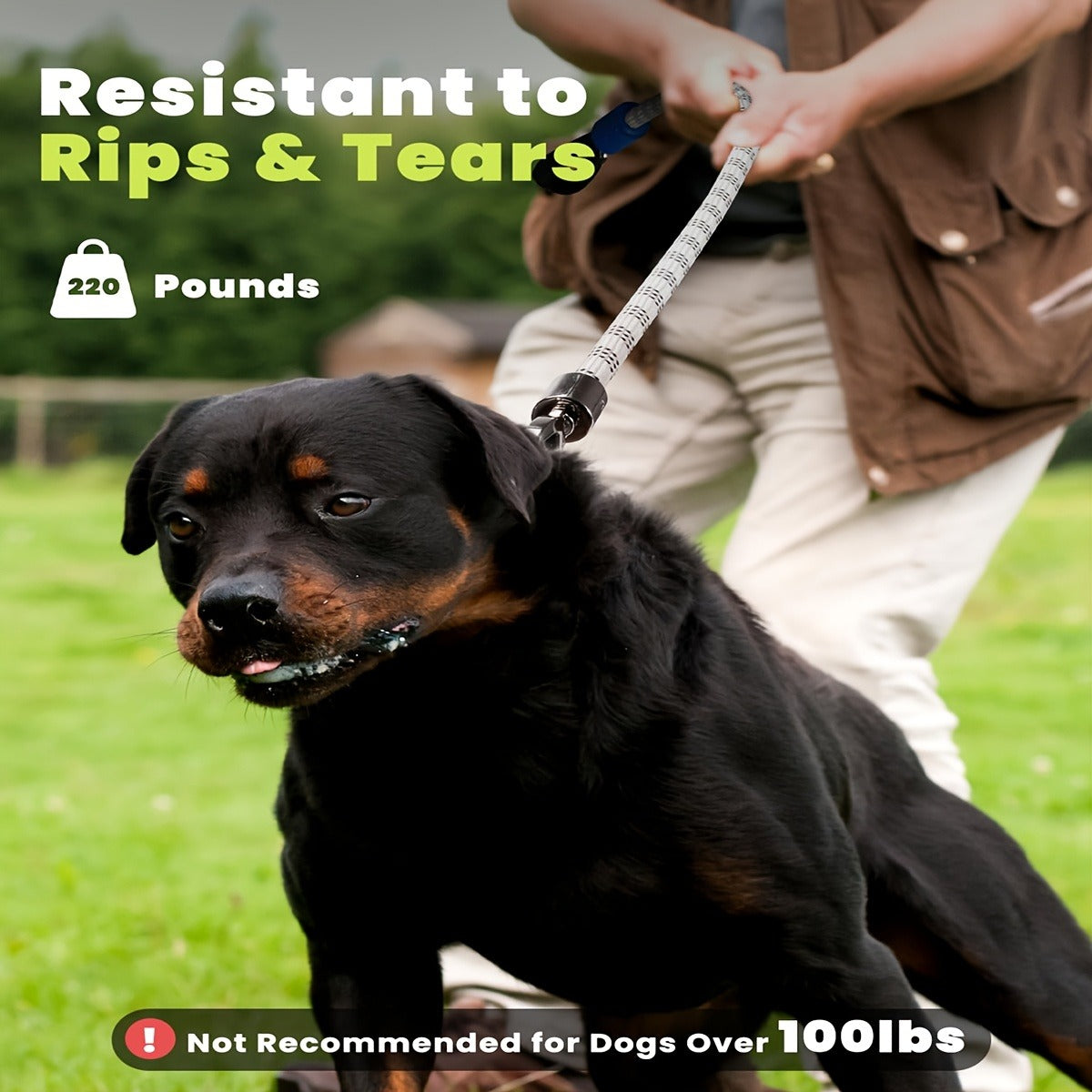LED Dog Leash 4FT Light Up with 13 Lighting Modes & Tangle-Free Hook, Rechargeable Glow in the Dark Night Walking Leash for Small Medium Large Dogs, USB Rechargeable Pet Safety Leash