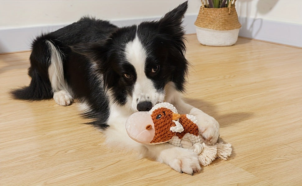 Squeaky Plush Cow Dog Toy with Crinkle Paper - Interactive Tug of War Chew Toy for Small Medium Large Dogs, Cute Cattle Design Washable Pet Toy for Fetch Play & Anxiety Relief