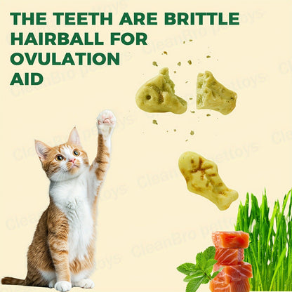 Catnip Cat Treats 150g – Catnip Cookie & Catgrass Molar Stick, Dried Fish Snack for Cats, Teeth Cleaning Dental Chew, Hairball Control Nutrition Fattening Cat Snack