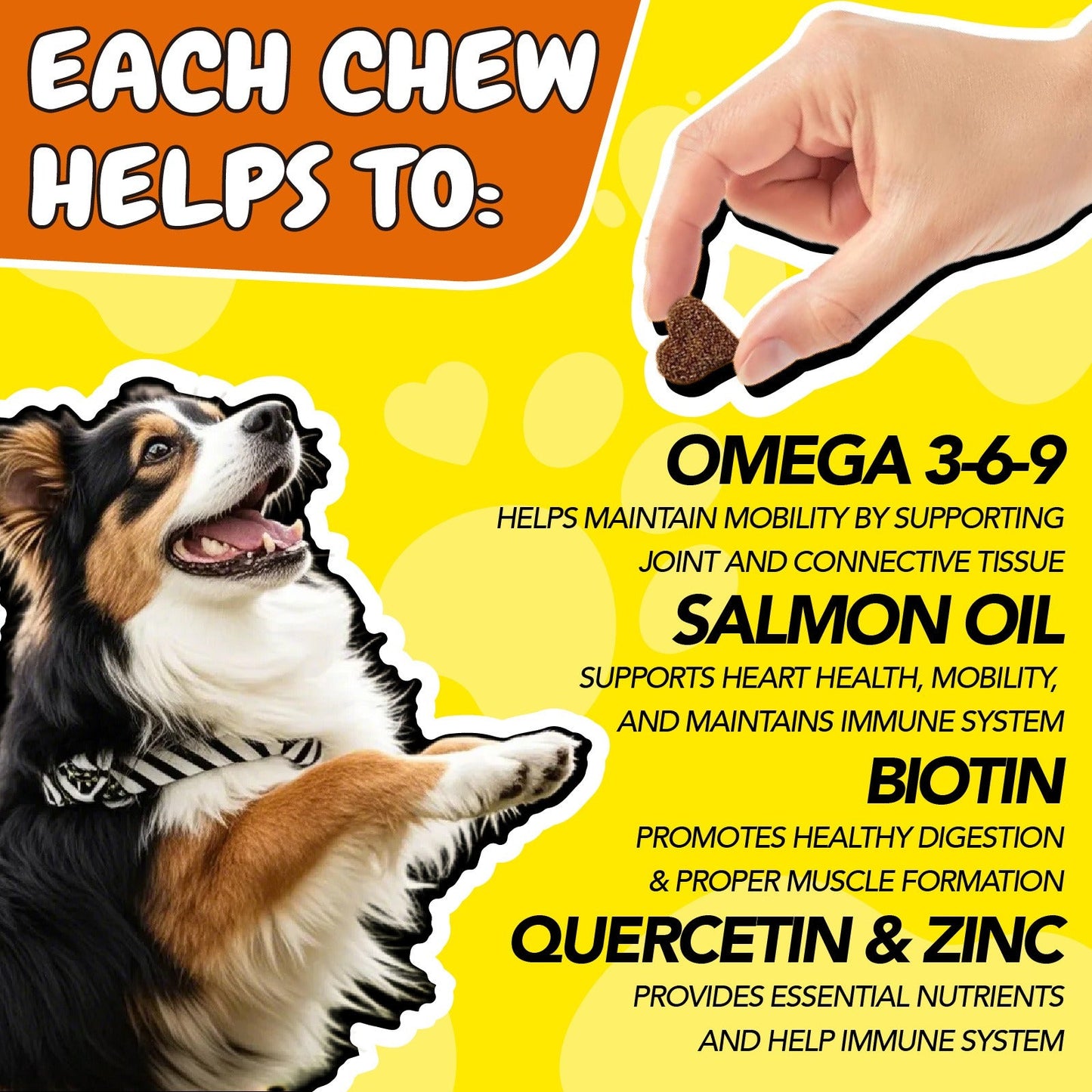 Omega 3 Dog Chews 90ct – 90-Day Supply Skin, Coat & Ear Care Supplement with Probiotics for Itchy Relief, All Ages – 1 Bottle Trial or 2 Bottle Value Pack