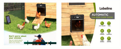 Automatic Chicken Coop Door Solar Powered – KA-200 Aluminum Alloy Auto Door with Timer, Light Sensor, Anti-Pinch Safety, Remote Control & Solar Panel Included – Poultry Coop Management