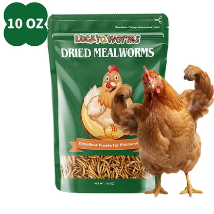 Dried Mealworms High Protein Animal Feed – Natural Insect Treats for Chickens Wild Birds Hens Ducks Turtles Fish Lizards Hamsters, Non-GMO Dried Larvae Pet Food Supplement, 0.6LB to 44LB