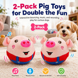 Two items (Two pigs)