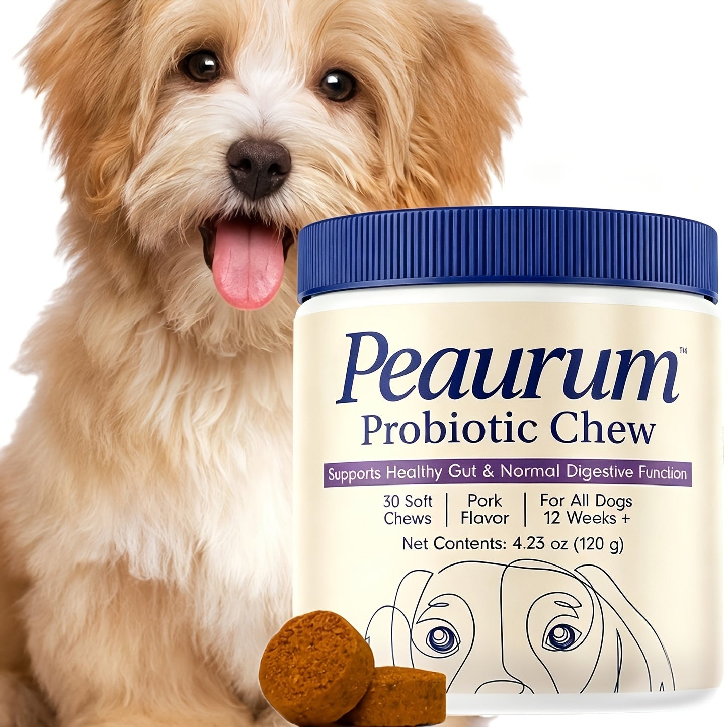 Dog Probiotics Softgels – Gut Health & Digestion Support, Natural Plant-Based Formula, Pork Flavor, 60 Softgels 120g, Available in 1-Pack & 2-Pack