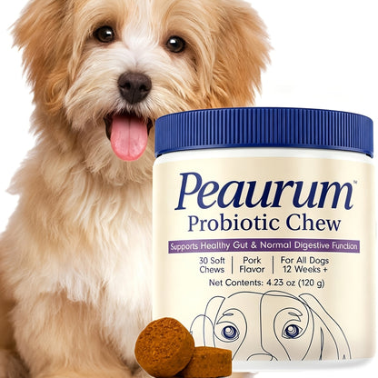 Dog Probiotics Softgels – Gut Health & Digestion Support, Natural Plant-Based Formula, Pork Flavor, 60 Softgels 120g, Available in 1-Pack & 2-Pack