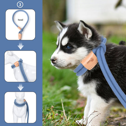 Dog Slip Leash and Harness 2-in-1 Rope Lead - No Pull All-in-One Training Leash for Puppies & Small Dogs, Adjustable Slip Lead with Soft Rope, Secure Control for Walking & Training