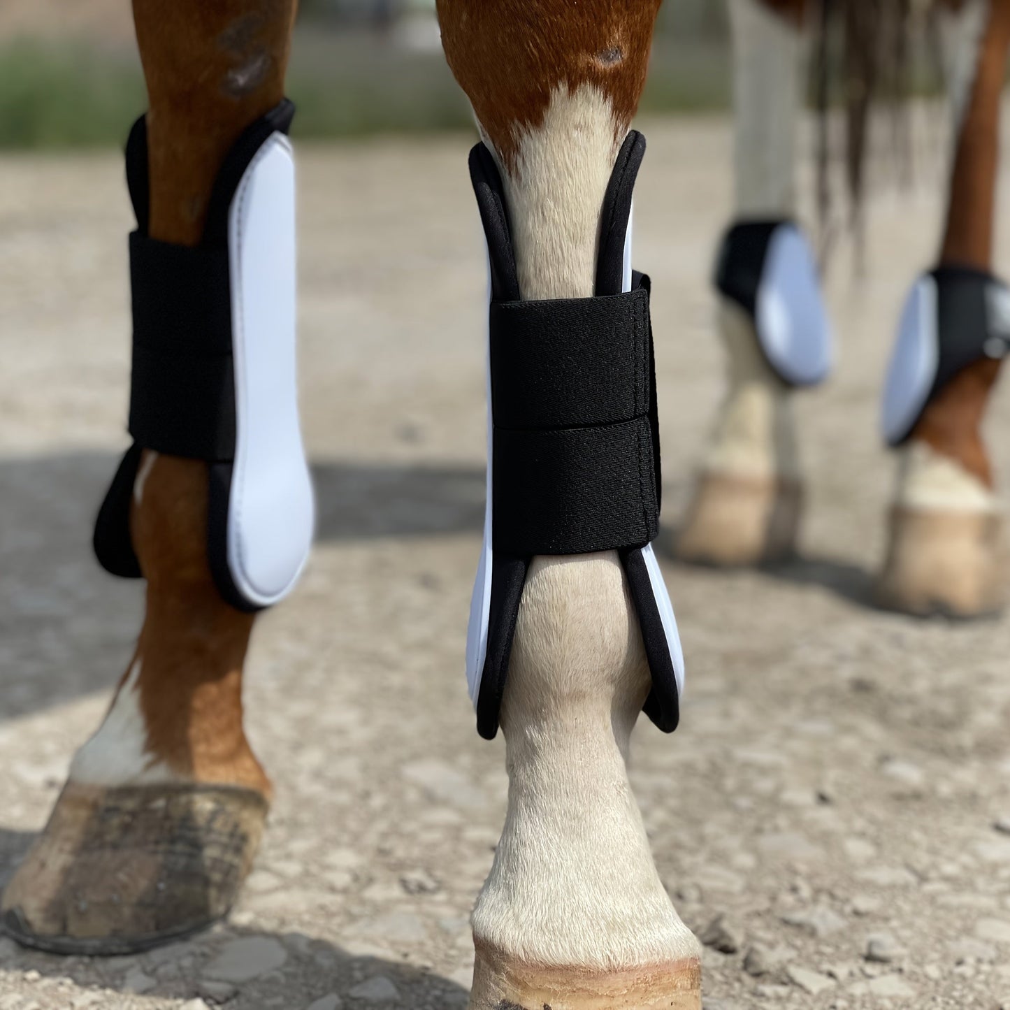 Horse Boots Set of 4 – Open Front Tendon & Fetlock Leg Protection Boots, PU Neoprene Splint Boots for Training, Racing, Riding & Jumping, Full, COB & Pony Sizes, 10 Colors