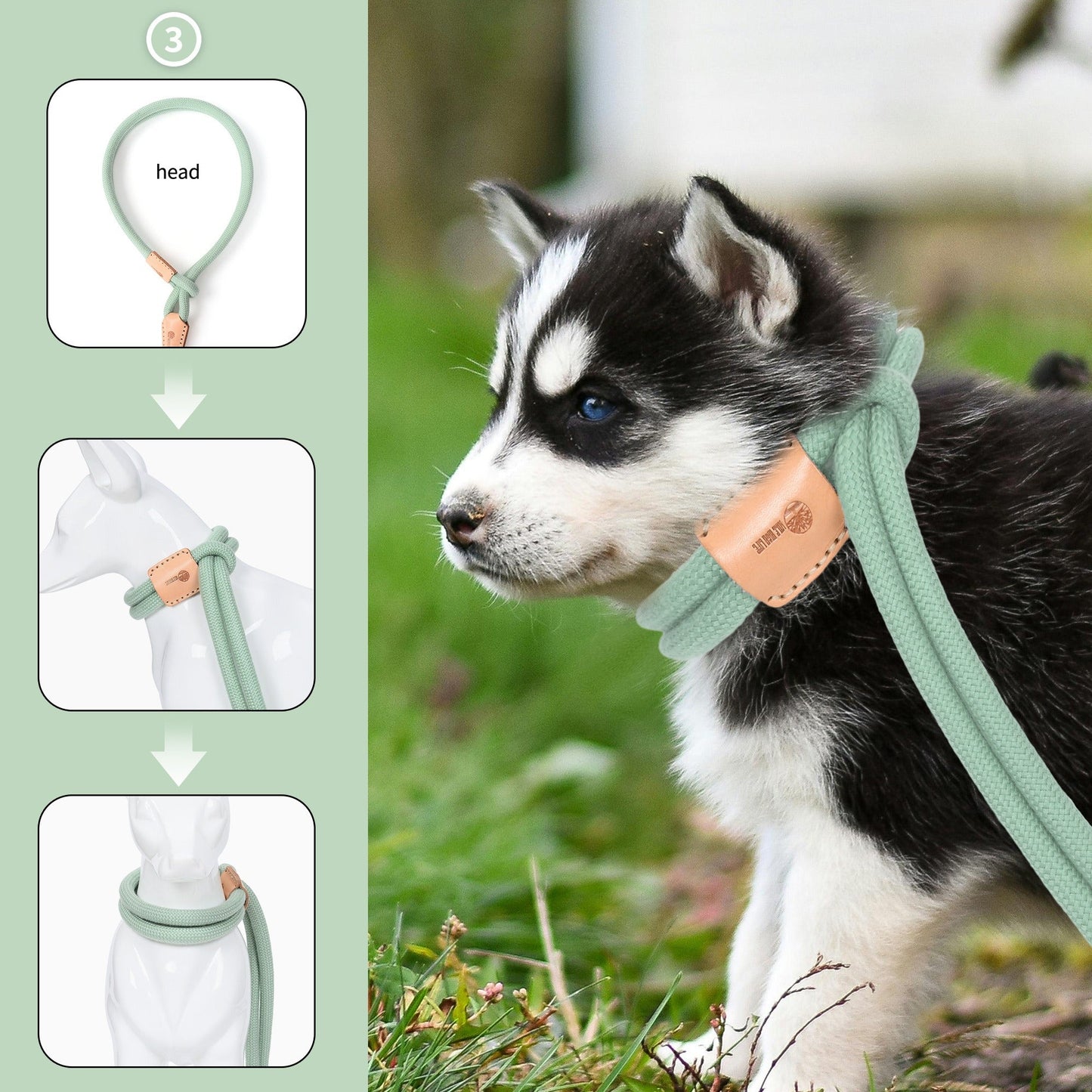 Dog Slip Leash and Harness 2-in-1 Rope Lead - No Pull All-in-One Training Leash for Puppies & Small Dogs, Adjustable Slip Lead with Soft Rope, Secure Control for Walking & Training