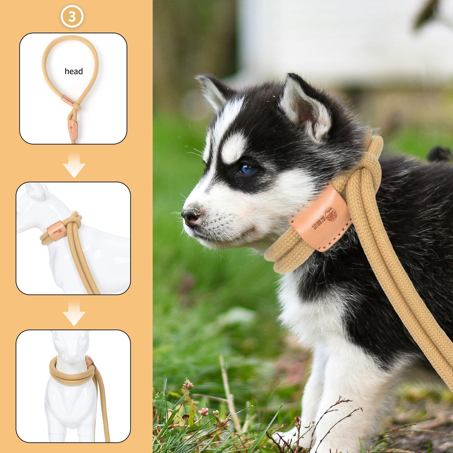 Dog Slip Leash and Harness 2-in-1 Rope Lead - No Pull All-in-One Training Leash for Puppies & Small Dogs, Adjustable Slip Lead with Soft Rope, Secure Control for Walking & Training