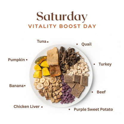 Freeze Dried Pet Food Supplement Weekly Pack – 7 Daily Packs with 26 Premium Ingredients | Supports Joints, Gut, Skin, Heart & Immunity | Vet-Formulated for Dogs & Cats | Chicken, Salmon, Venison & More | 1 LB