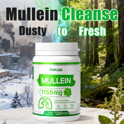 Mullein Lung Cleanse Capsules with NAC 45000mg – Mucus Removal, Dry Cough Relief & Respiratory Support Supplement for Women & Men, Seasonal & Year-Round Immune Health