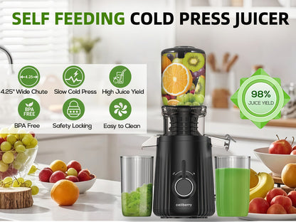 Masticating Juicer Cold Press - 4.25" Wide Feed Chute Auto-Feed Slow Juicer for Whole Fruits & Vegetables, 98% Juice Extraction, Quiet Motor, Easy to Clean, Compact for 1-2 People, Multiple Colors