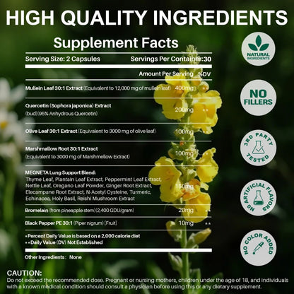 Mullein Leaf Lung Health Supplement with Quercetin, Bromelain, Vitamin C & D3, Zinc & Selenium – Herbal Respiratory & Bronchial Support Formula for Clear Breathing | 60 Capsules