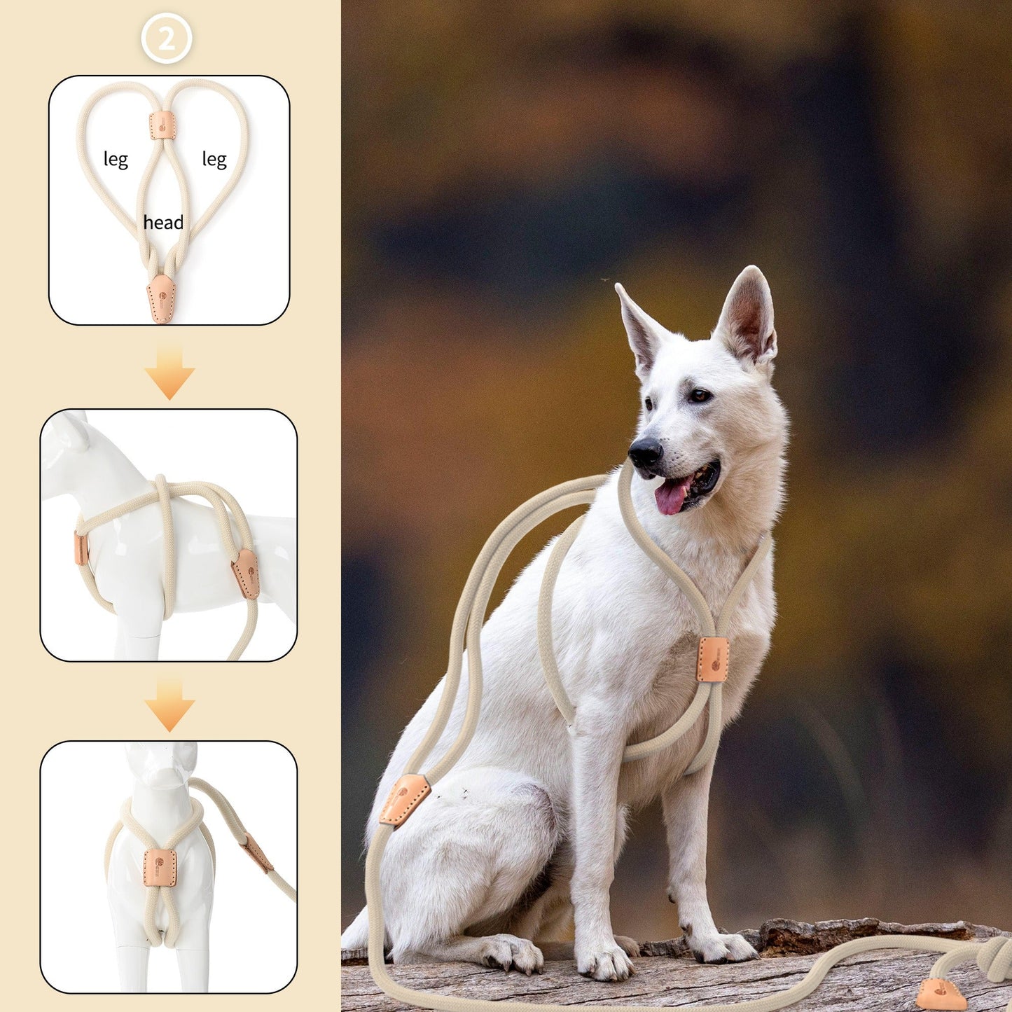 Dog Slip Leash and Harness 2-in-1 Rope Lead - No Pull All-in-One Training Leash for Puppies & Small Dogs, Adjustable Slip Lead with Soft Rope, Secure Control for Walking & Training