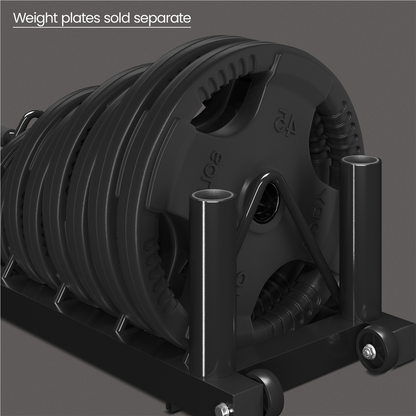 Barbell & Weight Plate Storage Rack with Wheels & Handle – 300 lb Capacity, 2 Barbell Holders, 4 Plate Slots, Powder Coated Steel for Home Gym & Garage Organization