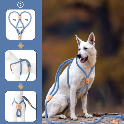 Dog Slip Leash and Harness 2-in-1 Rope Lead - No Pull All-in-One Training Leash for Puppies & Small Dogs, Adjustable Slip Lead with Soft Rope, Secure Control for Walking & Training