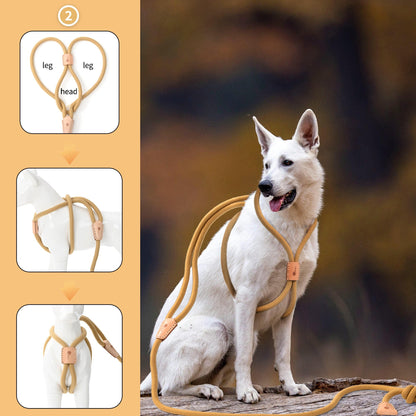 Dog Slip Leash and Harness 2-in-1 Rope Lead - No Pull All-in-One Training Leash for Puppies & Small Dogs, Adjustable Slip Lead with Soft Rope, Secure Control for Walking & Training