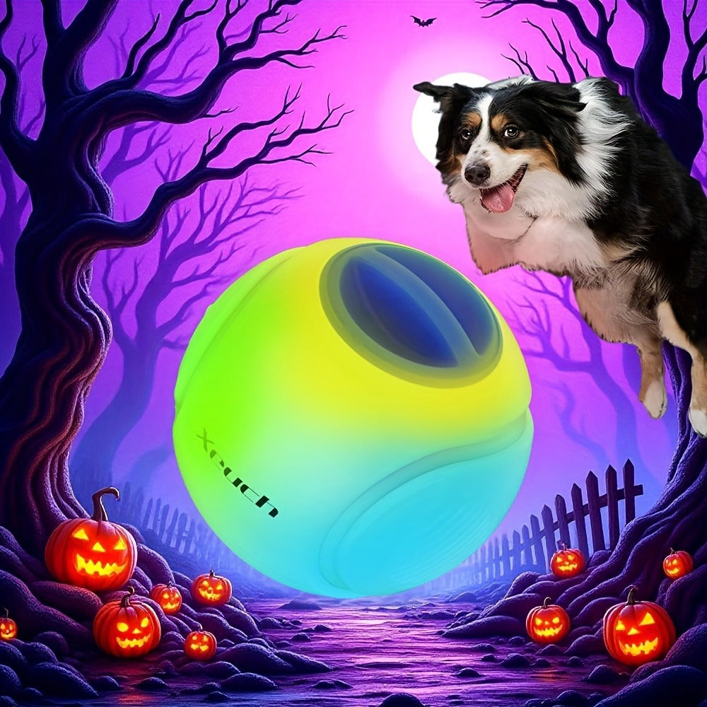 LED Light Up Dog Ball Toy Glow in the Dark - USB Rechargeable Motion-Activated Glowing Fetch Ball for Small Medium Dogs, 2.5 Inch Durable Night Play Interactive Toy, Safe Low Voltage