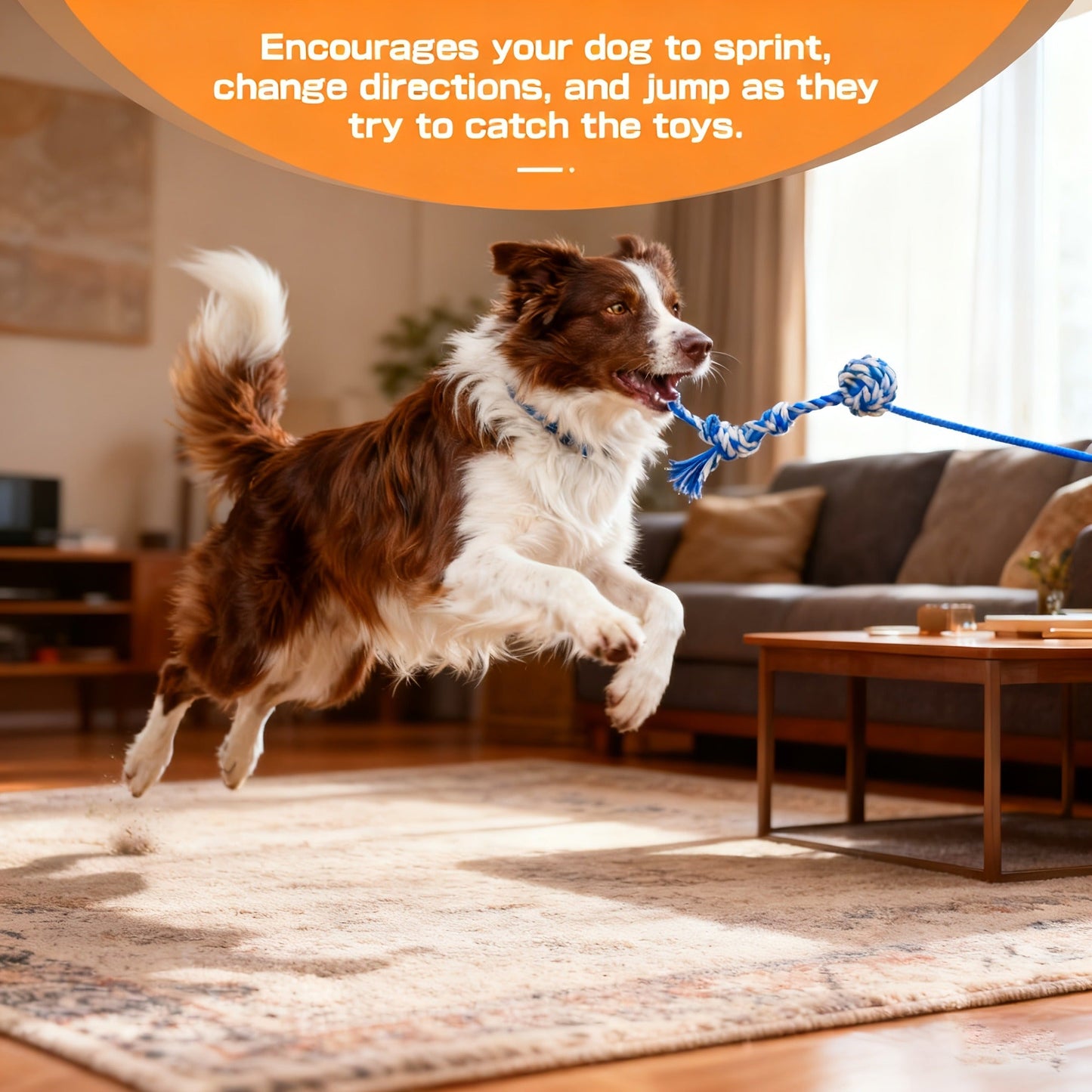 Dog Flirt Pole Telescopic - Extendable Flirt Stick with 3 Detachable Toys & Nylon Rope, Aluminum Alloy Dog Chase Toy for Small Medium Large Dogs, Agility Training Exercise & Interactive Play Tool