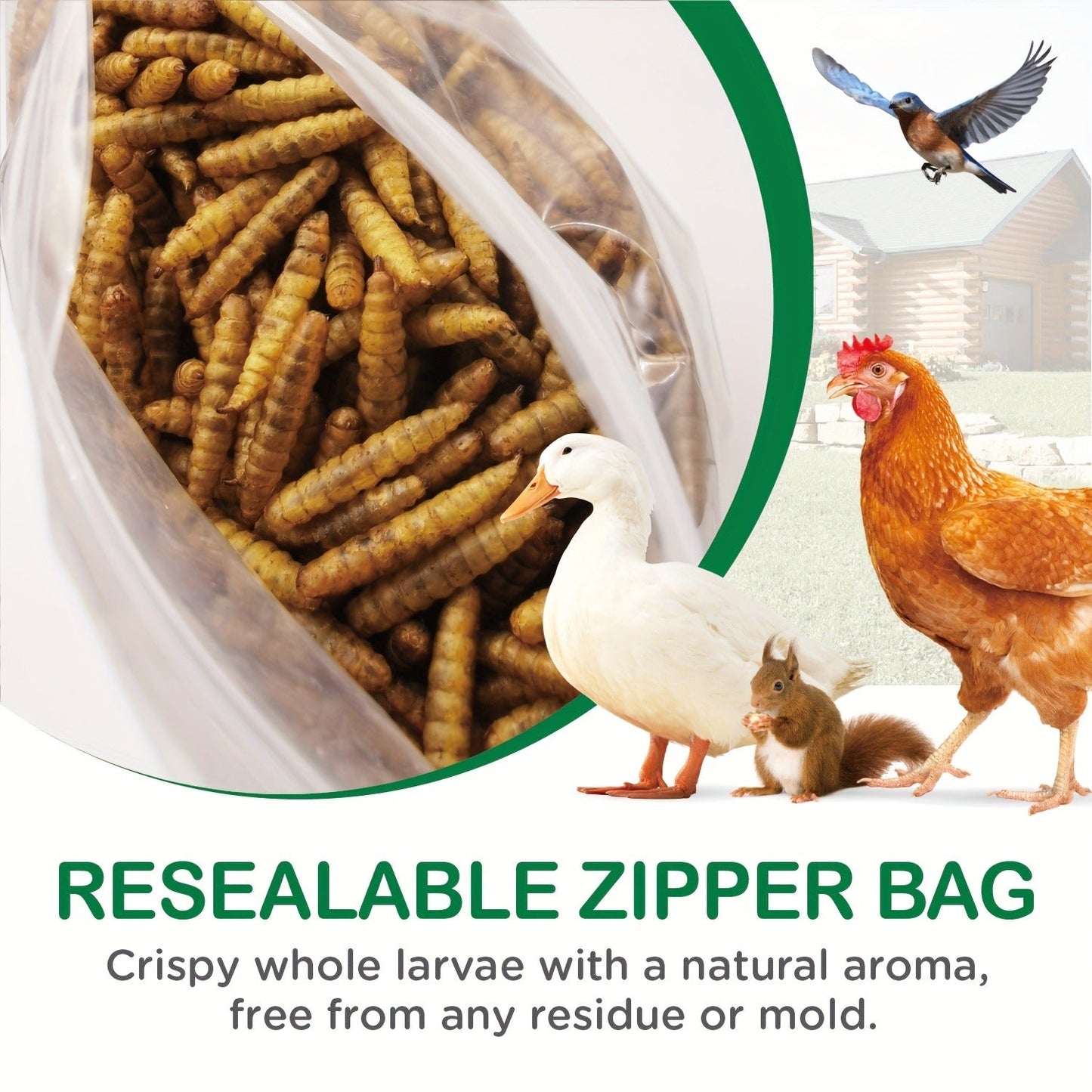 Non-GMO Dried Black Soldier Fly Larvae 5LB & 10LB - 85X More Calcium Than Mealworms, High Protein BSFL Treats for Chickens, Ducks, Wild Birds & Turtles
