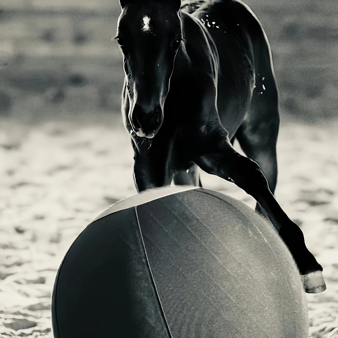 Horse Training Ball 21.7" Anti-Burst Silicone Grazing Ball with Cover & Hanging Belt for Horses Goats Dogs, Large Stable Toy Boredom Buster Ball for Equine Play & Exercise, Blue & Orange