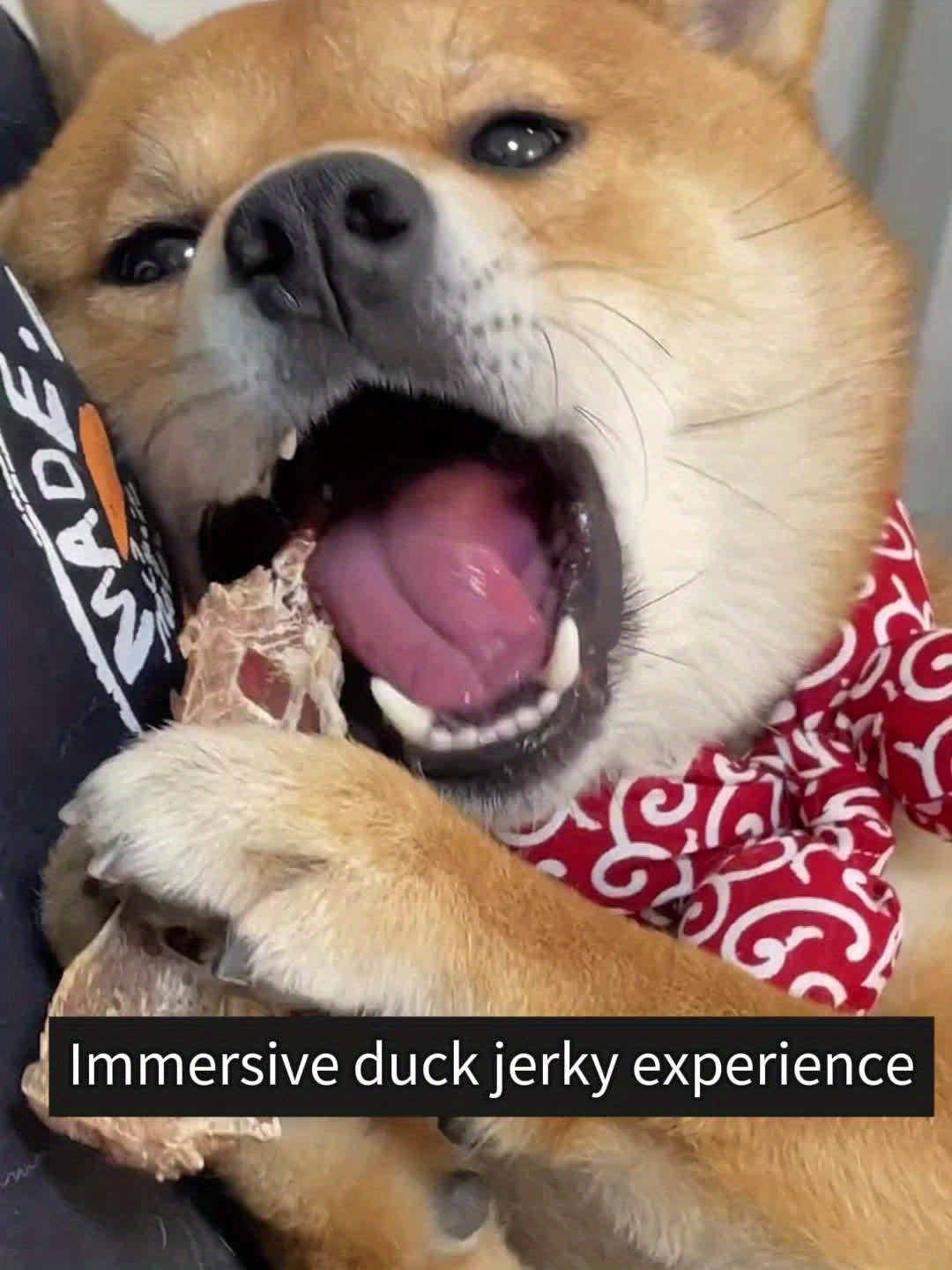 Duck Jerky Dog Treats Bundle High Protein Chews Grain Rawhide Free Daily Snacks for Small Medium Large Breeds Duck Lovers Dried Meat Bites Duo