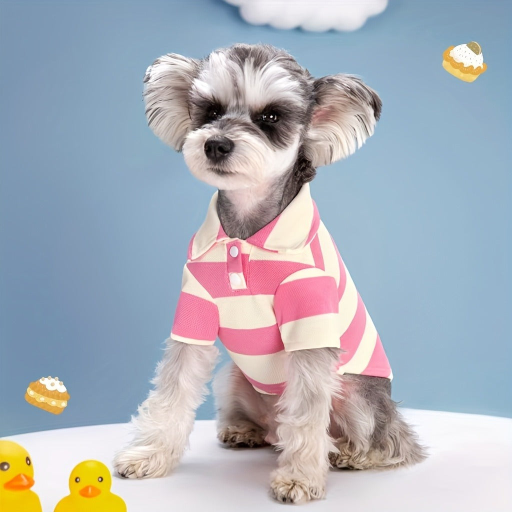 Dog Shirts 5-Pack Striped Breathable T-Shirts for Small Dogs & Cats – Soft Puppy Sweatshirt Costumes for Chihuahua, Poodle, Teacup Breeds, Boys & Girls, Sizes XS–4XL