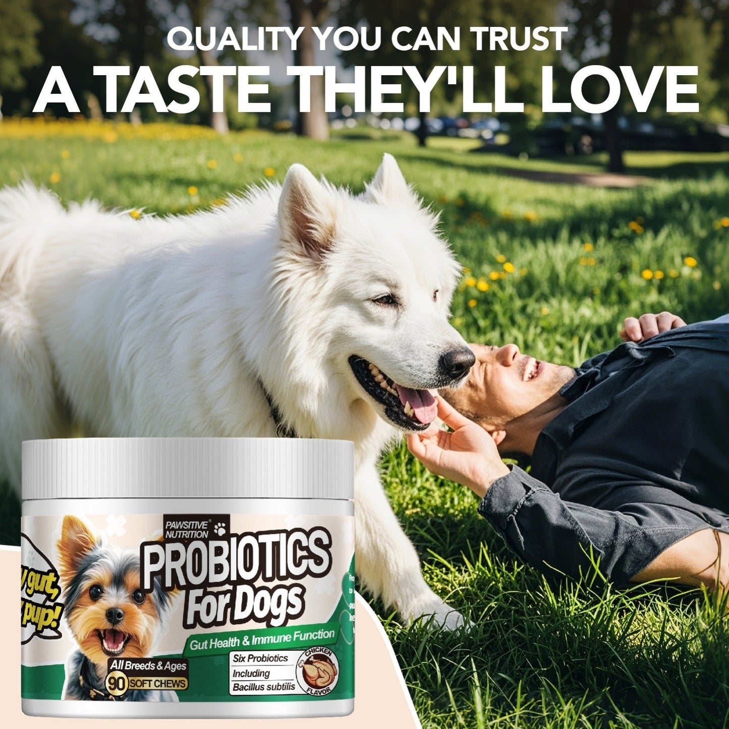 Dog Probiotic Chews for Digestive Health - Chicken Flavor Soft Chews with Probiotics for All Breeds, Supports Gut Health, Bloating & Diarrhea Relief, 90 Count per Bottle