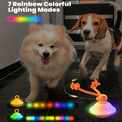 Automatic Rolling Dog Ball Toy with Rope - Motion-Activated Wicked Ball with Voice Recording, Interactive Self-Moving Stimulation Toy for Small Medium Dogs, Relieves Boredom & Anxiety