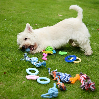 Puppy Teething Chew Toys Pink Bundle 5 or 8 Pack Soft Dog Toothbrush Toy & Interactive Chew Balls for Small Dogs - Cute Puppy Toy Set for Teething Relief & Dental Care