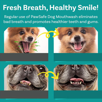 Dog Mouthwash for Fresh Breath with Peppermint Extract - Natural Dental Health Oral Care Liquid, Easy-to-Use Water Additive for Dogs, Freshens Breath & Supports Clean Teeth, 100ml / 3.38oz