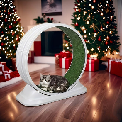Cat Treadmill Indoor Exercise Wheel Durable Plastic Running Wheel for Indoor Cats All Breeds No Battery Needed Silent Spinner Cat Fitness Toy XXL Green Grey