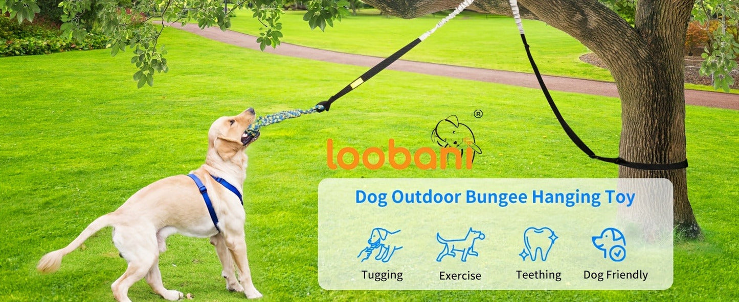 Bungee Dog Tug Toy Outdoor Hanging from Tree Height Adjustable 19.7 Ft Elastic Cord Tether with Chew Rope - Solo & Interactive Exercise Play for All Dog Breeds Small to Large