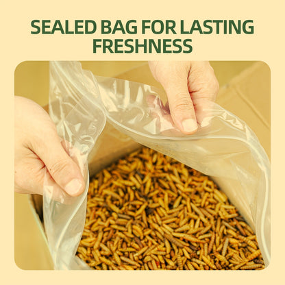 Dried Black Soldier Fly Larvae for Chickens - High Protein BSF Larvae Treats with Calcium for Laying Hens Ducks Quail Birds Reptiles Non-GMO Natural